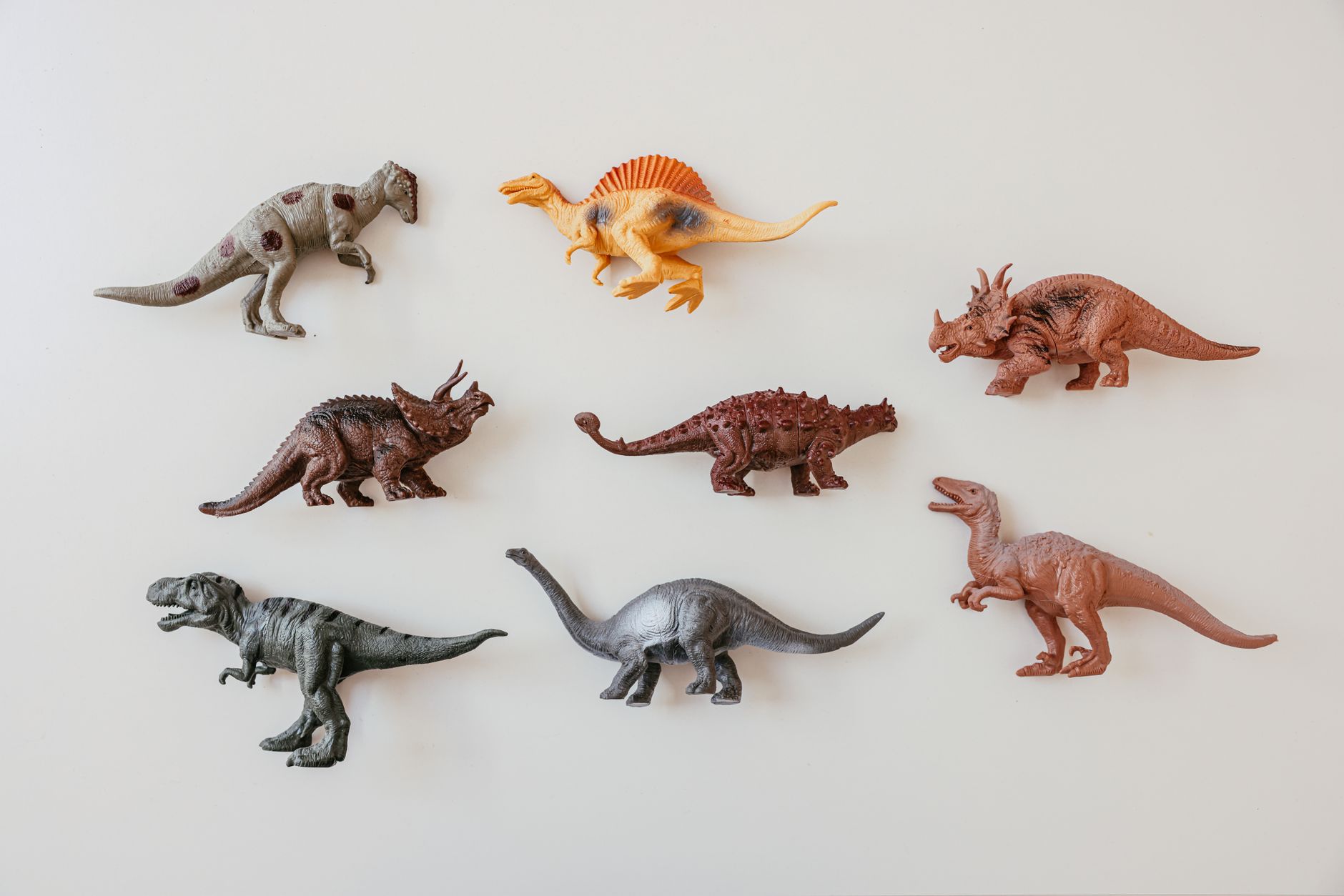 Colorful toy dinosaur models arranged on a white background. Perfect for educational and playful themes.