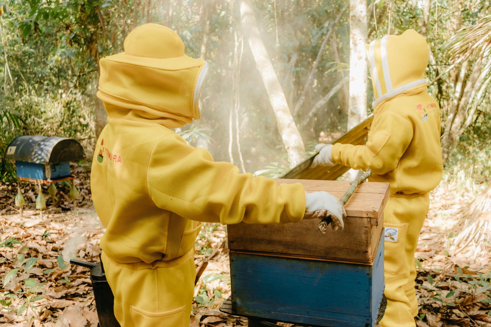 Two beekeepers in yellow suits tend to hives in a vibrant forest setting.